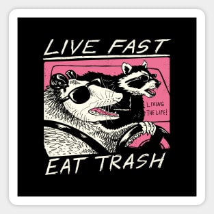 Live Fast! Eat Trash! Magnet